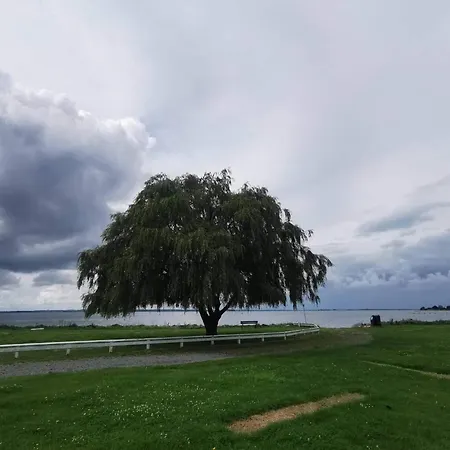 Luxury Panoramic View - By Traum شتايغ